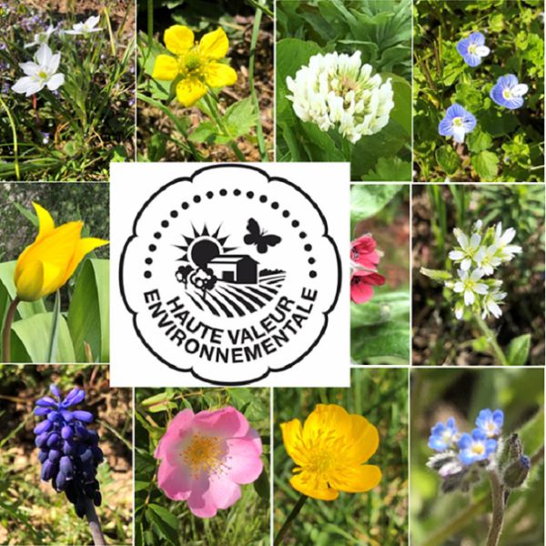 HVE certification: the added value of biodiversity on our estate confirmed