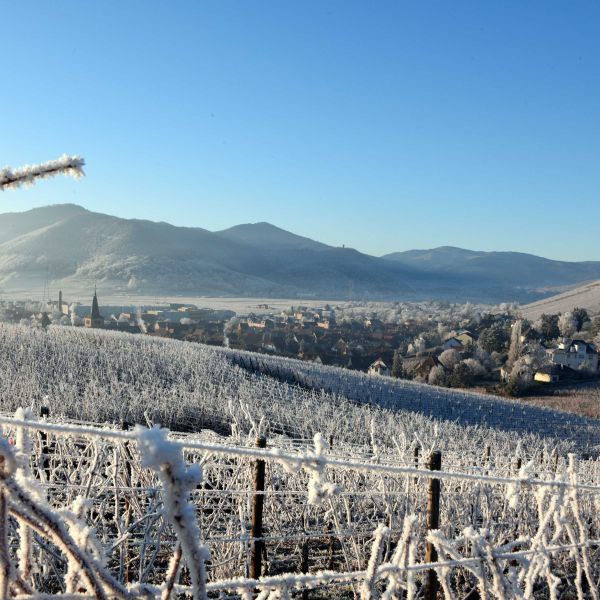 Gewurztraminer Vendanges Tardives 2018