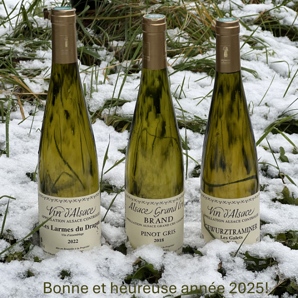 Happy New Year 2025!